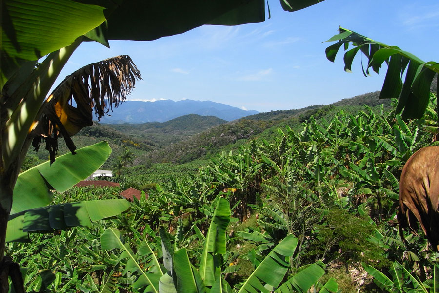 A escolha de Vale do Ribeira para o 17º Bunkyo Rural 2024